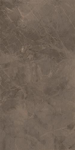 60X120N PK MT EVEREST MOCHA 1.K SR ®