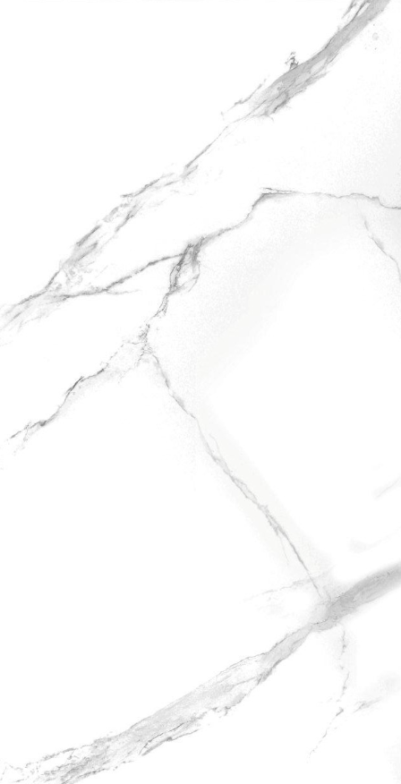 60X120N PK LF NEO CAL SILVER 1.K SR