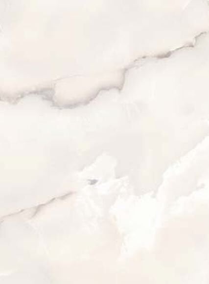 60X120N PK LF NEO ONIX WHITE 1.K SR