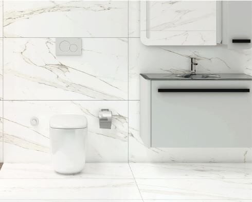 60X120N PK LF STATUARIO CLASSIC 1.K SR ®