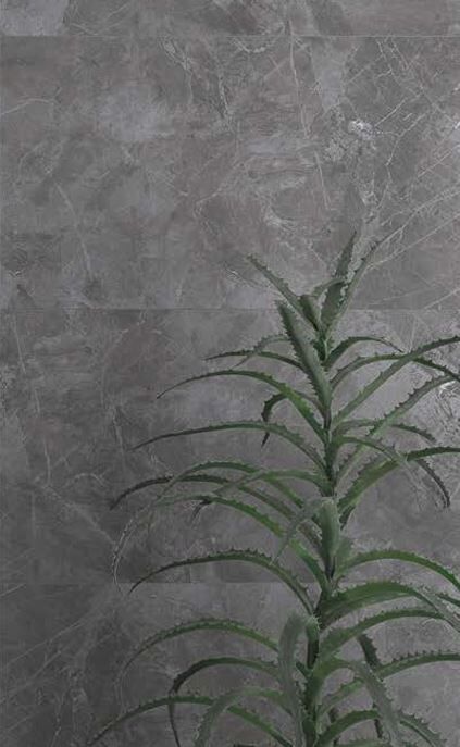 60X120N PK MT EVEREST ANTHRACITE 1.K SR ®